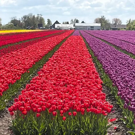 Rustig Met Vrij Uitzicht Nabij Hoorn & Enkhuizen